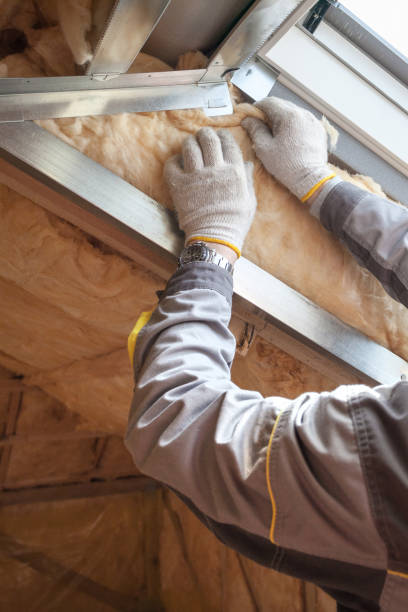 Best Insulation Removal  in Middleburg, PA